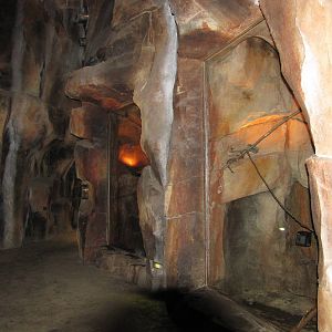 Henry Doorly Zoo 2010 - General view in the Bat Cave in Kingdoms of the Nig