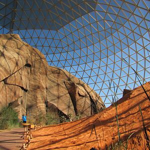 Henry Doorly Zoo 2010 - General view in the Namib Desert in Desert Dome
