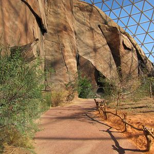 Henry Doorly Zoo 2010 - General view in the Namib Desert in Desert Dome