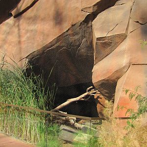 Henry Doorly Zoo 2010 - Front of Bat-eared Fox exhibit in Desert Dome