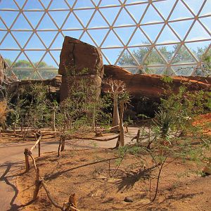 Henry Doorly Zoo 2010 - General view in the Namib Desert in Desert Dome