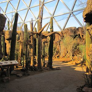 Henry Doorly Zoo 2010 - General view in the Sonora Desert section in Desert