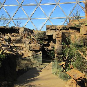 Henry Doorly Zoo 2010 - Desert Cottontail and Swift Fox exhibits in Desert
