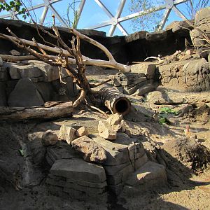 Henry Doorly Zoo 2010 - Desert Cottontail exhibit in Desert Dome