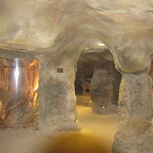 Henry Doorly Zoo 2010 - General view in the reptile wing in Desert Dome