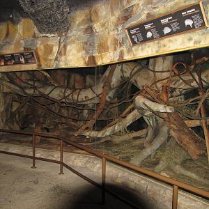 Henry Doorly Zoo 2010 - Different mixed exhibit for small mammals in Kingdo