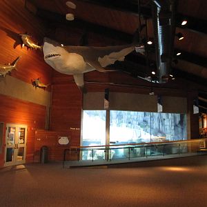 Henry Doorly Zoo 2010 - Lobby of Kingdoms of the Seas Aquarium