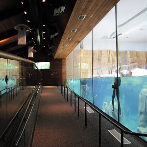 Henry Doorly Zoo 2010 - Front of Penguin exhibit in Kingdoms of the Seas Aq