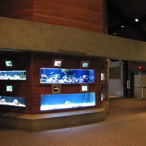 Henry Doorly Zoo 2010 - General view in Kingdoms of the Seas Aquarium