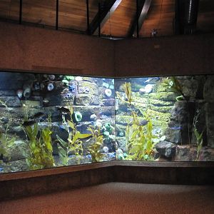 Henry Doorly Zoo 2010 - General view in Kingdoms of the Seas Aquarium