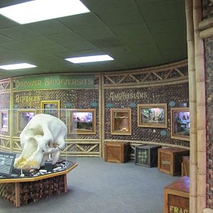 Henry Doorly Zoo 2010 - General view inside Wild Kingdom Pavilion