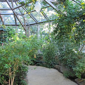 Henry Doorly Zoo 2010 - General view inside Butterfly and Insect Pavilion