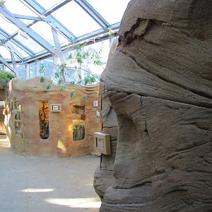 Henry Doorly Zoo 2010 - General view inside Butterfly and Insect Pavilion