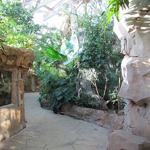 Henry Doorly Zoo 2010 - General view inside Butterfly and Insect Pavilion