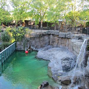 Henry Doorly Zoo 2010 - Second part of Polar Bear exhibit in Bear Canyon