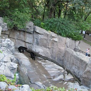 Henry Doorly Zoo 2010 - View over American Black Bear exhibit in Bear Canyo