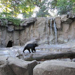 Henry Doorly Zoo 2010 - Left part of American Black Bear exhibit in Bear Ca