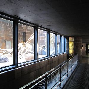 Henry Doorly Zoo 2010 - General view inside the Cat Complex