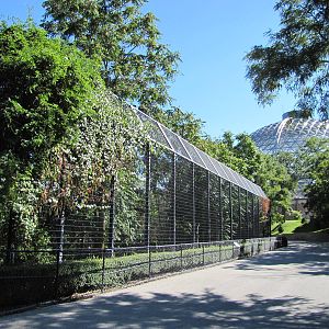 Henry Doorly Zoo 2010 - Alongside African Lion exhibit and view to Desert D