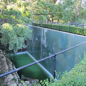 Henry Doorly Zoo 2010 - First part of Amur Tiger outdoor exhibit at the Cat