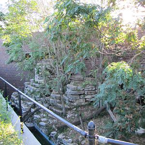 Henry Doorly Zoo 2010 - Second part of Amur Tiger outdoor exhibit at the Ca