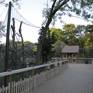 Henry Doorly Zoo 2010 - Walk-through Lemur exhibit in Expedition Madagascar
