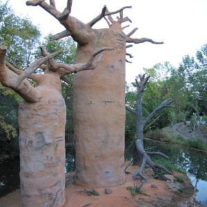 Henry Doorly Zoo 2010 - Ring-tailed Lemur exhibit in Expedition Madagascar