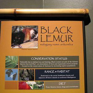 Henry Doorly Zoo 2010 - Signage example in Expedition Madagascar