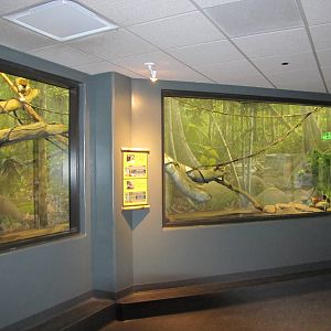 Henry Doorly Zoo 2010 - General view in Expedition Madagascar