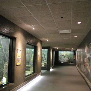 Henry Doorly Zoo 2010 - General view in Expedition Madagascar