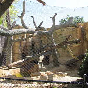 Henry Doorly Zoo 2010 - One type of outdoor exhibits at the Cat Complex