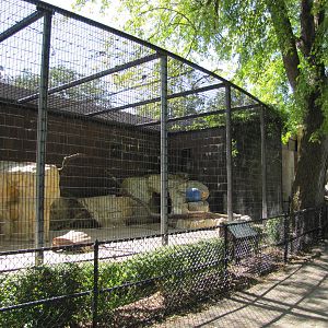 Henry Doorly Zoo 2010 - Another type of outdoor exhibits at the Cat Complex