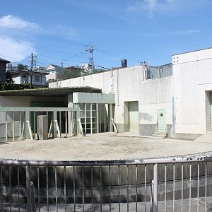 Asian Elephant outdoor exhibit.