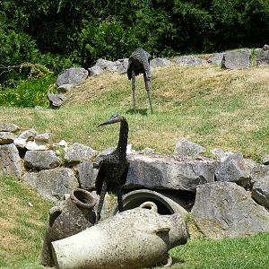 Statues at Birdworld, 20 June 2010