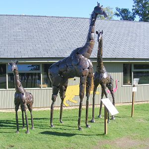 Giraffe statues at Longleat Safari Park, 17 October 2010