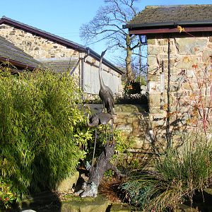 Statues at Blackbrook Zoo, 13 November 2010