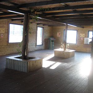 Inside the Big Cat House.