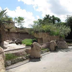 Gladys Porter Zoo 2010 - Front of Bear exhibits