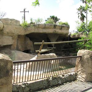 Gladys Porter Zoo 2010 - Front of second Malayan Sun Bear exhibit
