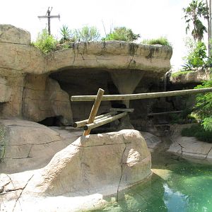 Gladys Porter Zoo 2010 - Second Malayan Sun Bear exhibit