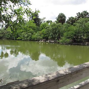 Gladys Porter Zoo 2010 - General view in the Tropical America section