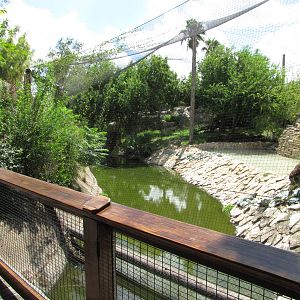 Gladys Porter Zoo 2010 - Aviary in the Tropical America section