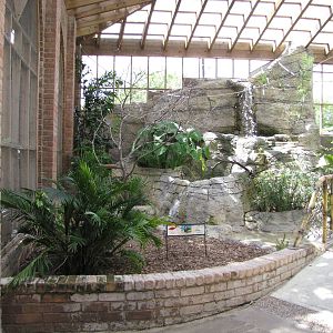 Gladys Porter Zoo 2010 - General view inside the South American Free-flight