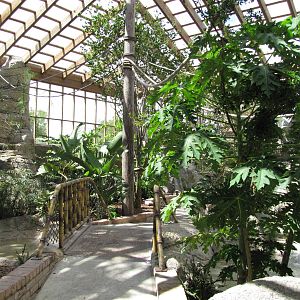 Gladys Porter Zoo 2010 - General view inside the South American Free-flight