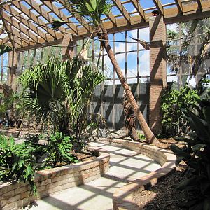 Gladys Porter Zoo 2010 - General view inside the South American Free-flight