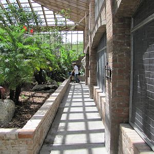 Gladys Porter Zoo 2010 - General view inside the South American Free-flight