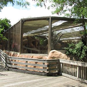 Gladys Porter Zoo 2010 - Side-view of the Indo-Australian Walkabout Aviary