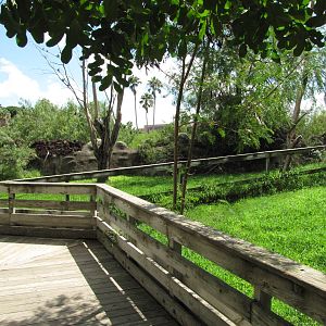 Gladys Porter Zoo 2010 - General view in the Indo-Australian section