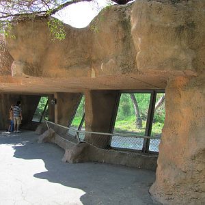 Gladys Porter Zoo 2010 - Front of the African Lion exhibit