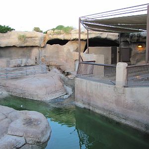 Gladys Porter Zoo 2010 - Right part of the Sea Lion exhibit and former Pola